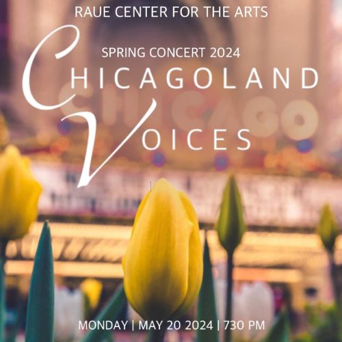 Chicagoland Voices 500x500